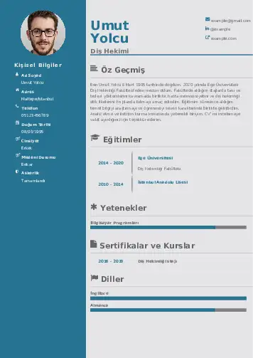 Diş Hekimi cv indir